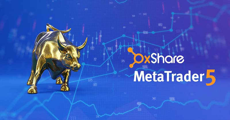 Metatrader 5 OXShare Company